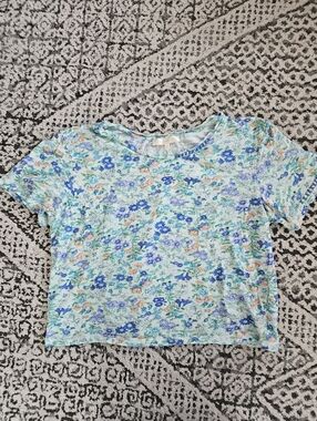LoveShackFancy Cropped Blue Floral Tshirt Size Small